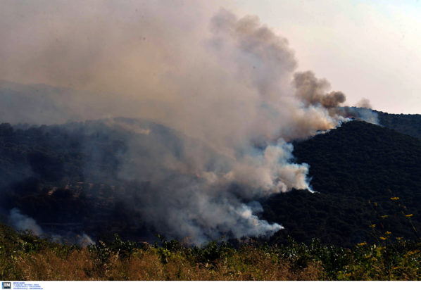 φωτιά Μεσσηνία