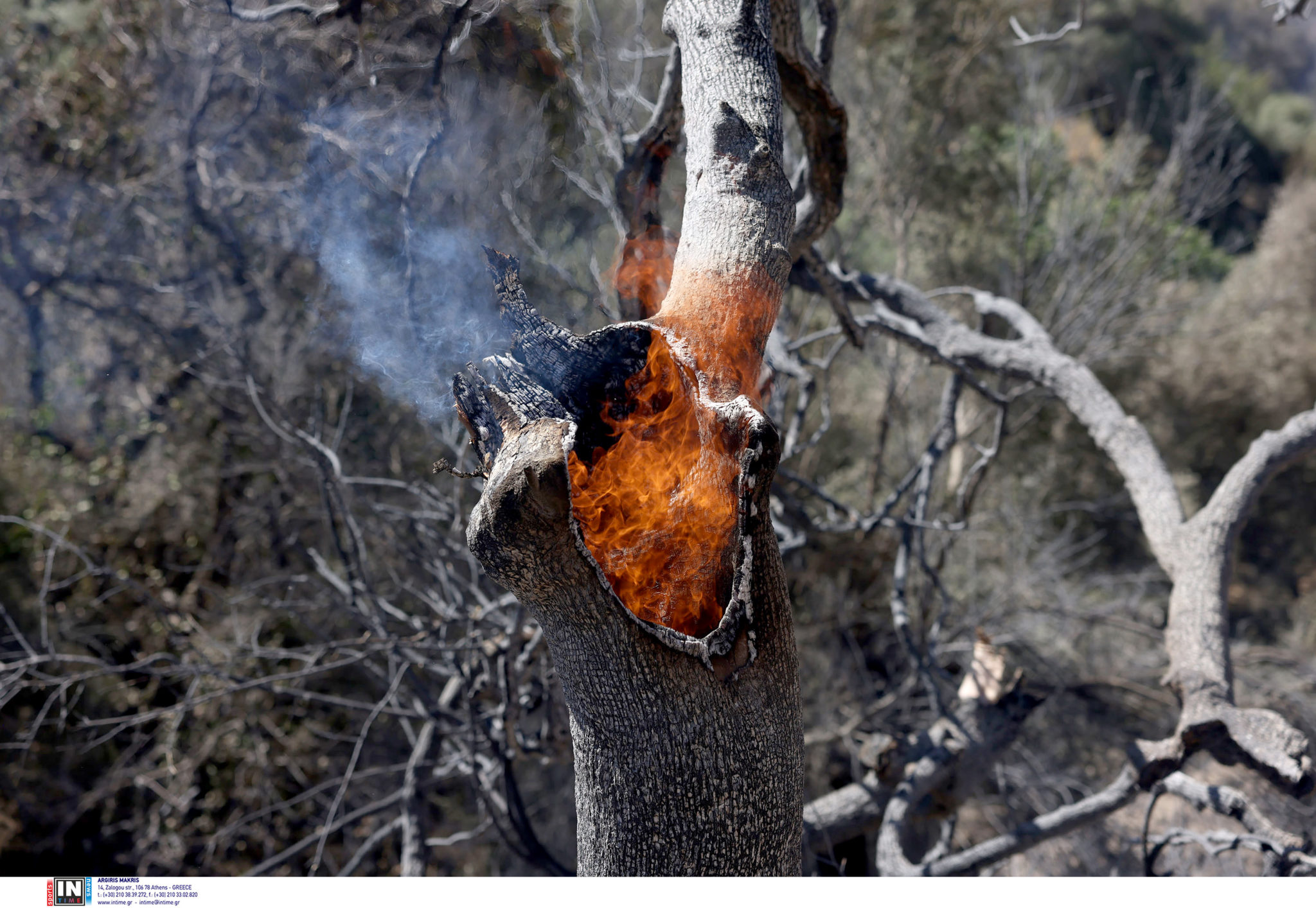 Φωτιά Χανιά