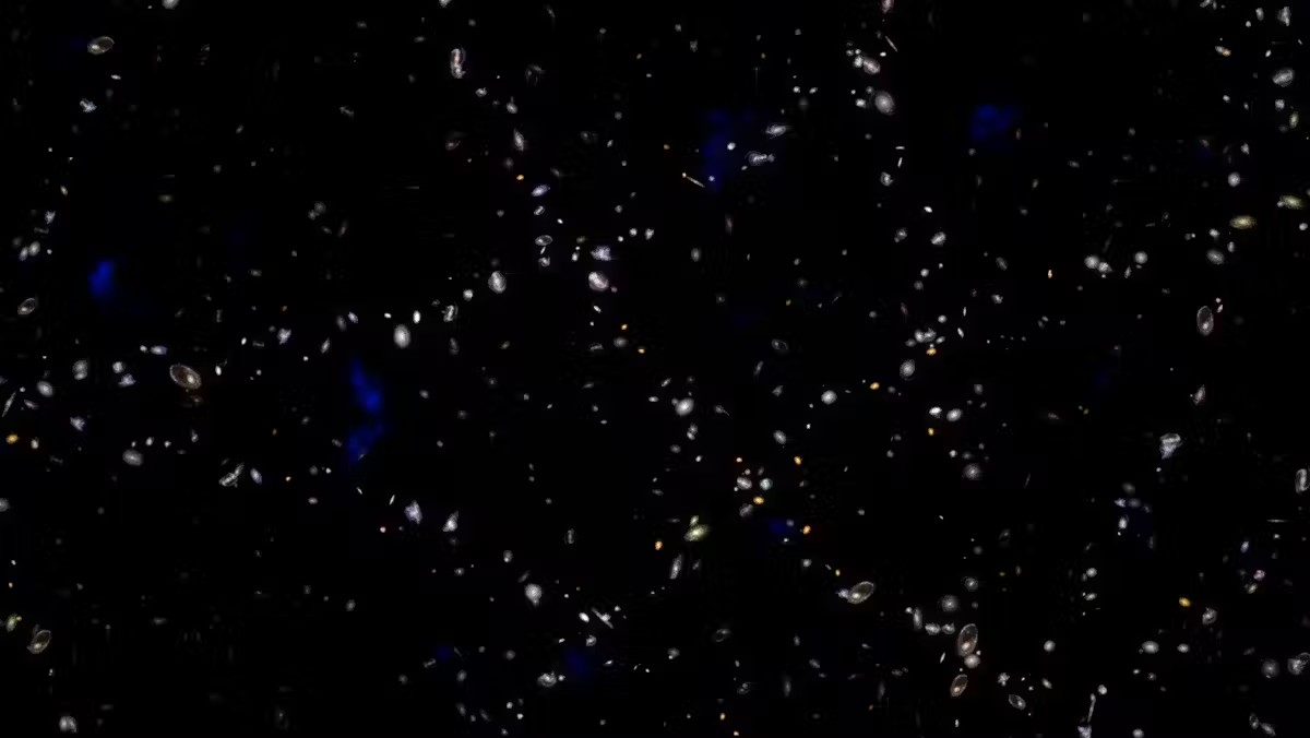 Η ψηφιακή αυτή απεικόνιση εξερευνά τα κοσμικά μοτίβα που σχηματίστηκαν από τις πρωταρχικές ηχητικές κυματισμούς, με φόντο το βαθύ διάστημα και γαλαξίες διαφόρων φωτεινοτήτων διάσπαρτους στον κυρίως μαύρο καμβά με πινελιές κόκκινου και γκρίζου. Στο κέντρο, ένα μπλε κυκλικό μοτίβο τονίζει την βαρυτική επιρροή των πρώιμων ηχητικών κυμάτων, με γαλαξίες συγκεντρωμένους γύρω από αυτόν τον δακτύλιο, αποδεικνύοντας πώς η διαστολή του Σύμπαντος έχει εξελιχθεί με την πάροδο του χρόνου, ενώ οι άλλοι γαλαξίες εμφανίζονται σβησμένοι για να διευκολυνθεί η ορατότητα του φαινομένου. Φωτογραφία: NASA