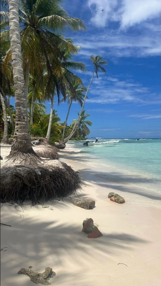 ΒΑΡΘΑΚΟΥΡΗ