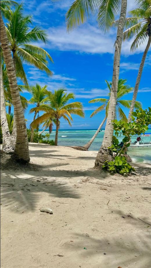 ΒΑΡΘΑΚΟΥΡΗ