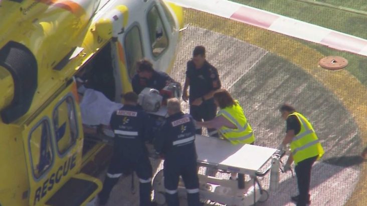 ζωολογικός κήπος Αυστραλία λιοντάρι