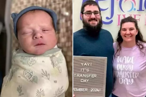 ΕΜΒΡΥΟ ΜΩΡΑΚΙ