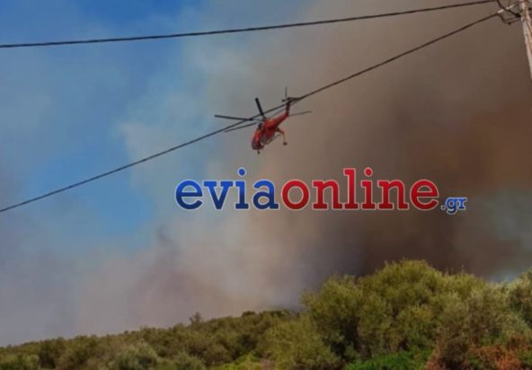 Φωτιά στην Εύβοια