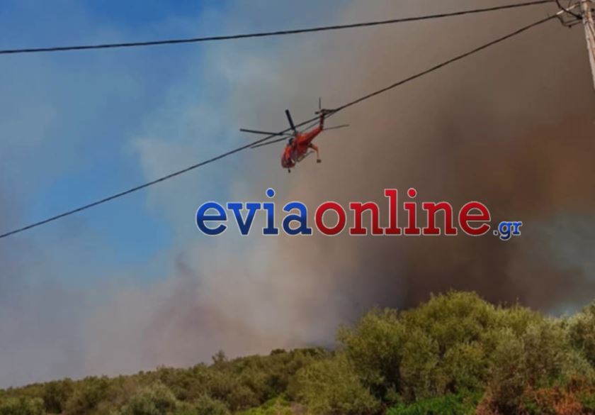 Φωτιά στην Εύβοια