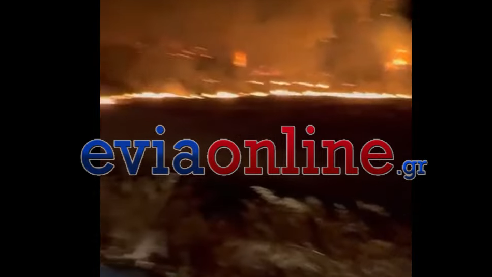 Φωτιά στην Εύβοια: Όταν η πύρινη λαίλαπα πέρασε από το ποτάμι και κατευθυνόταν προς το Αφράτι – ΒΙΝΤΕΟ