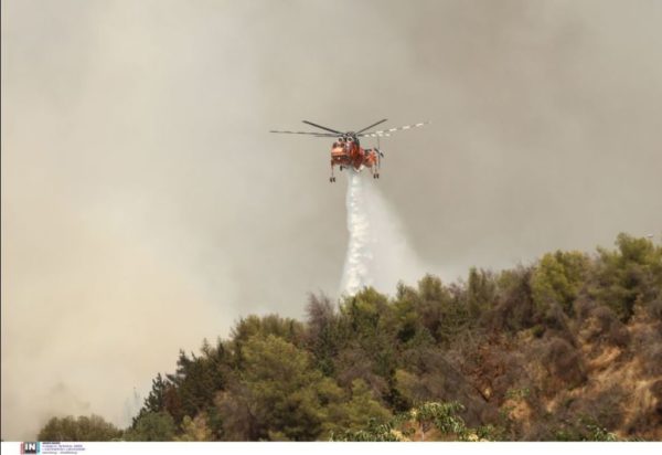 ΦΩΤΙΑ ΖΩΓΡΑΦΟΥ