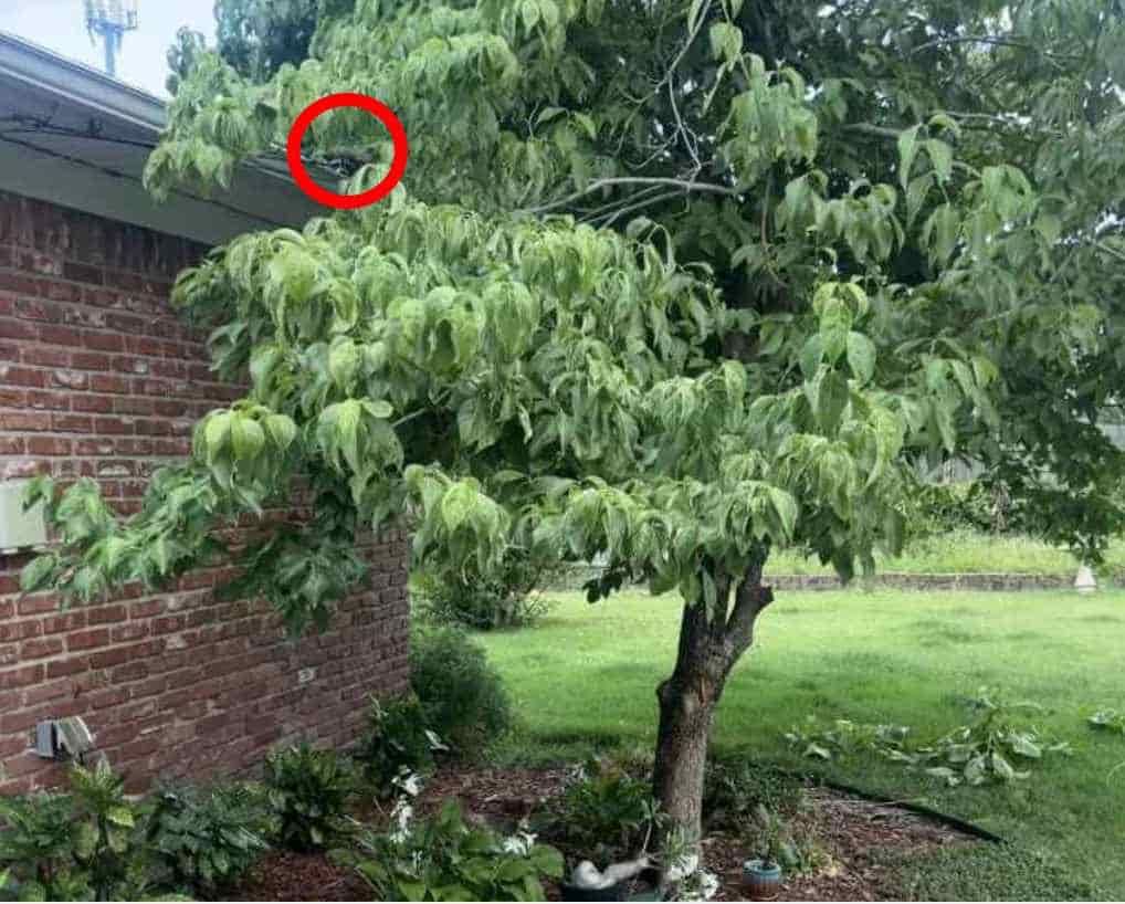 οπτική ψευδαίσθηση