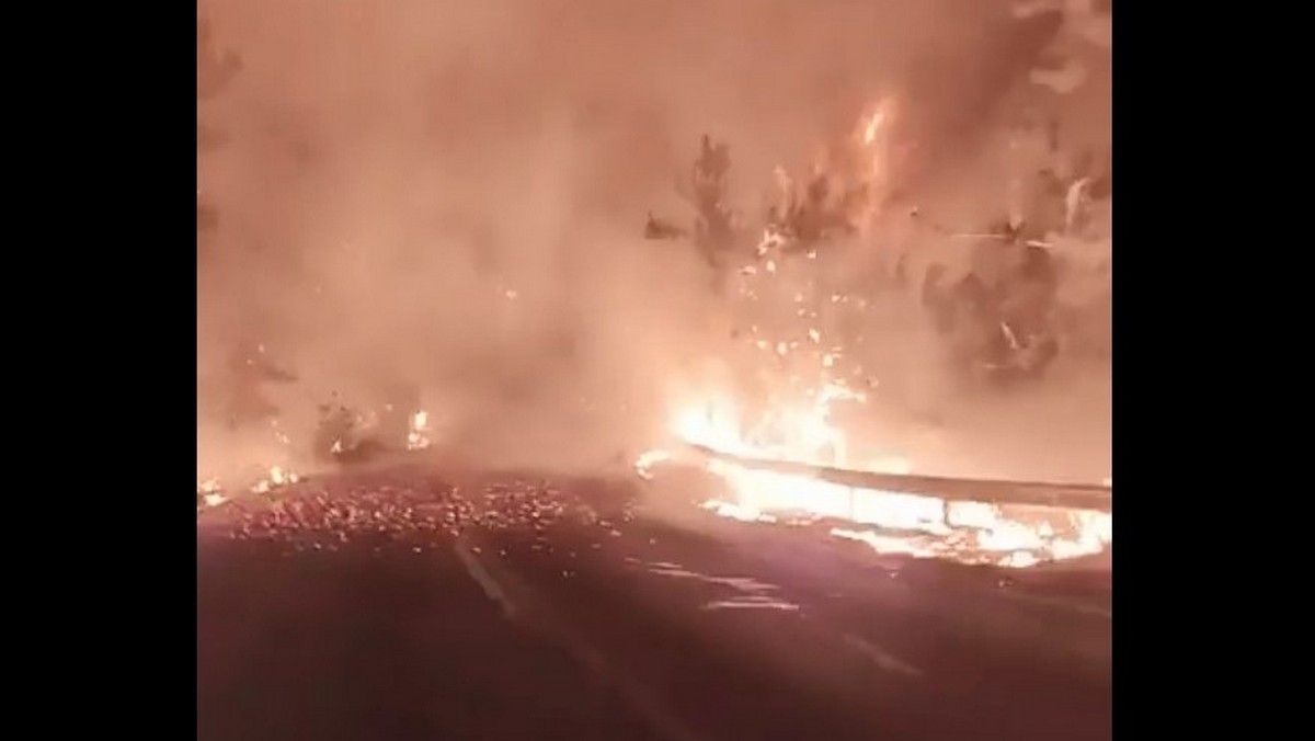 Θάσος: Φωτιά στην περιοχή Γλυκάδι – Δείτε βίντεο