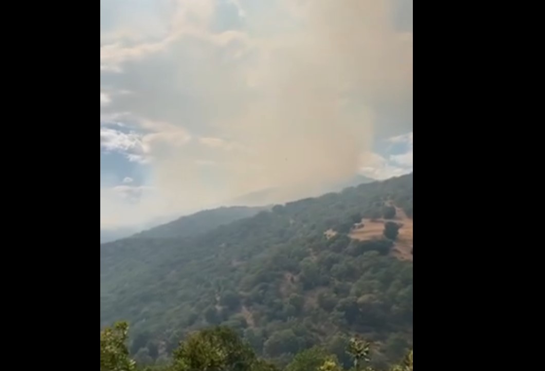 ΓΡΕΒΕΝΑ ΦΩΤΙΑ