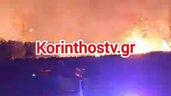 Κορινθία: Φωτιά σε γεωργική έκταση στο Ελληνοχώρι – Συναγερμός στην πυροσβεστική