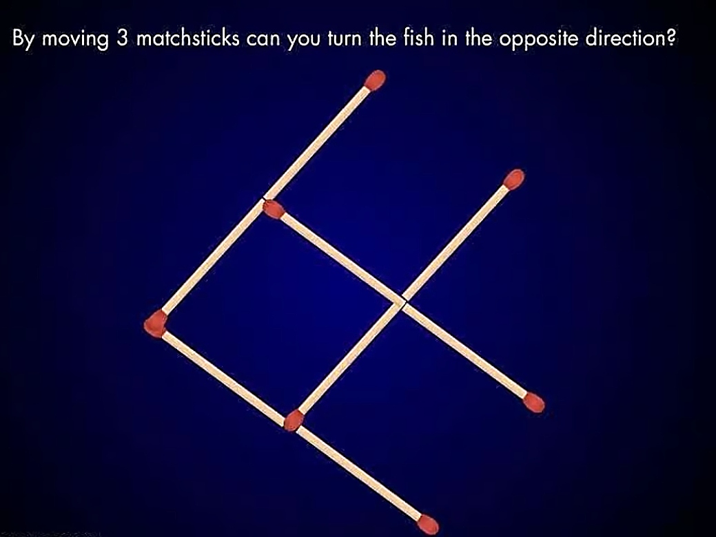 Τεστ IQ για δυνατούς λύτες: Mπορείτε να κάνετε το ψάρι να κοιτάζει στην αντίθετη πλευρά μετακινώντας 3 σπίρτα; Έχετε 28 δευτερόλεπτα;