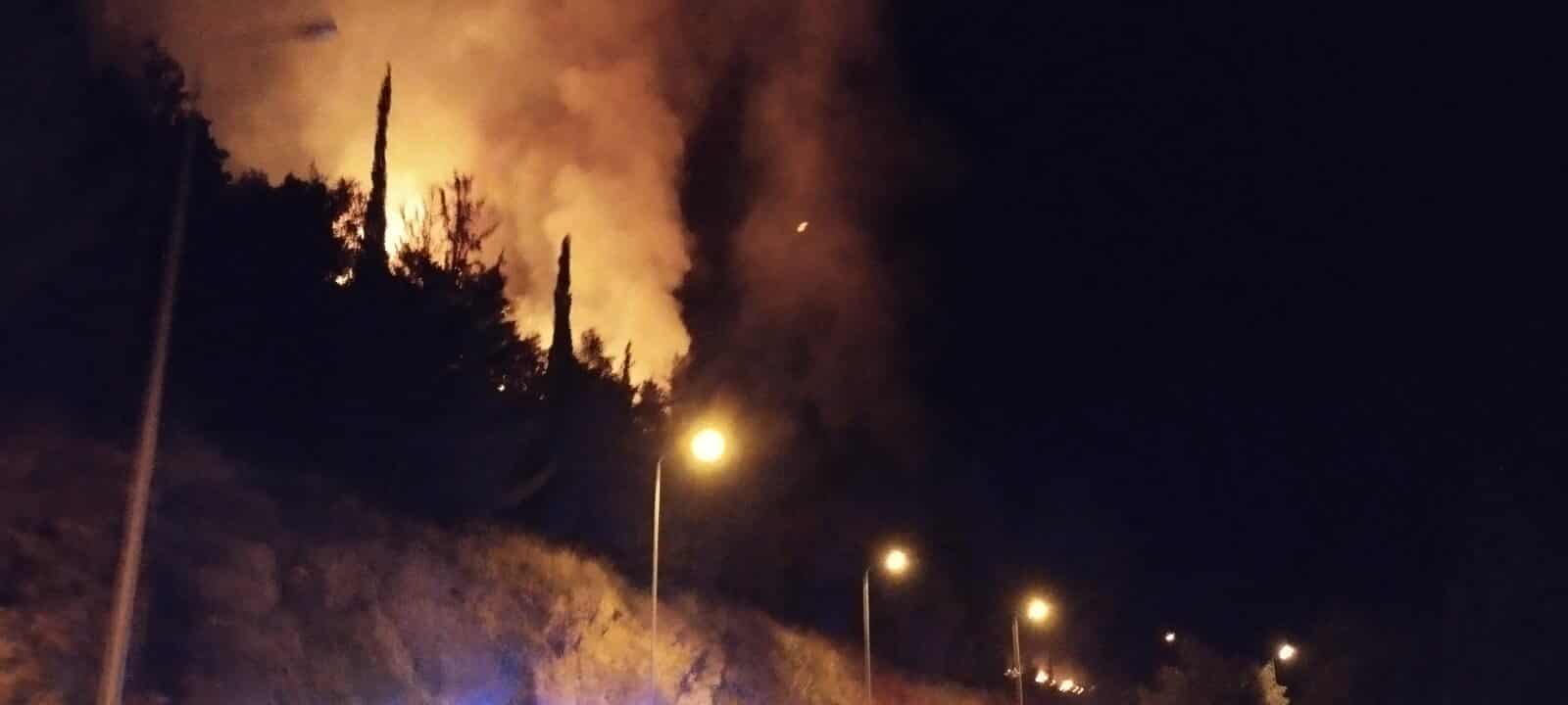 Ιωάννινα: Υπό πλήρη έλεγχο η φωτιά στις Λιγκιάδες