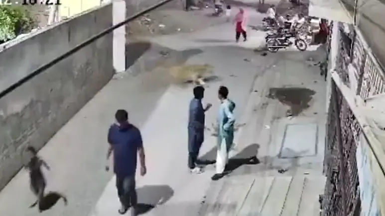 Πακιστάν: Λιοντάρι ξέφυγε από τους ιδιοκτήτες του κι επιτέθηκε σε γυναίκα και δύο παιδιά – ΒΙΝΤΕΟ