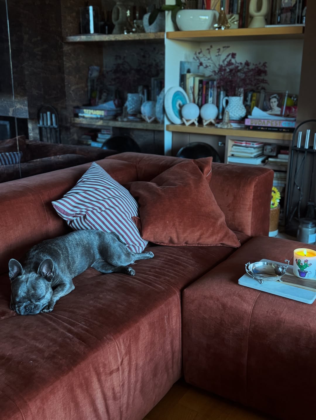 Δανάη Μπάρκα