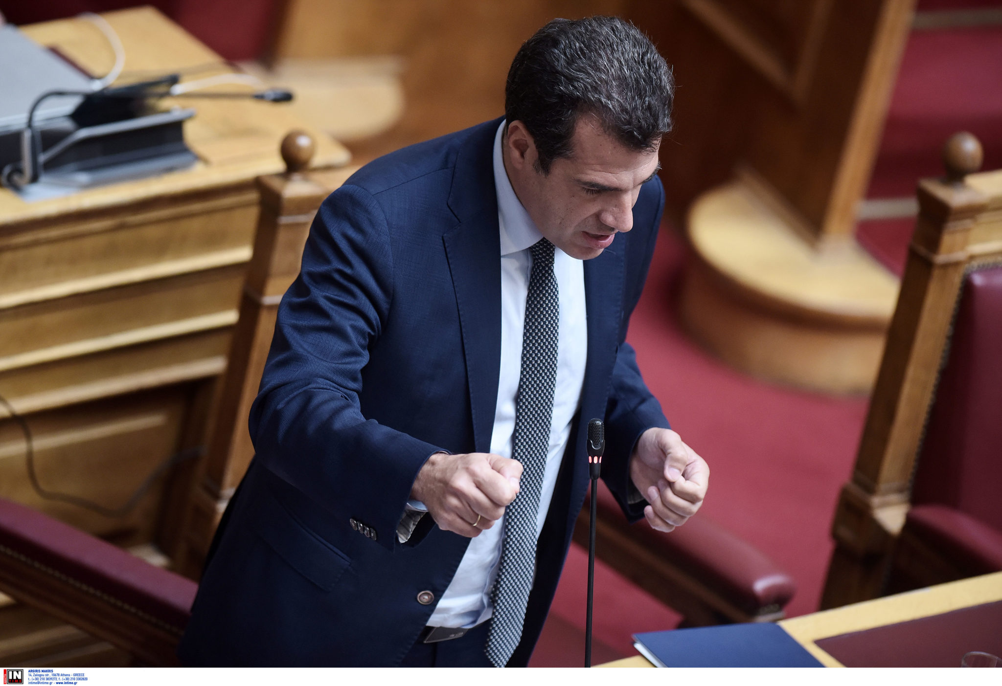 Θάνος Πλεύρης