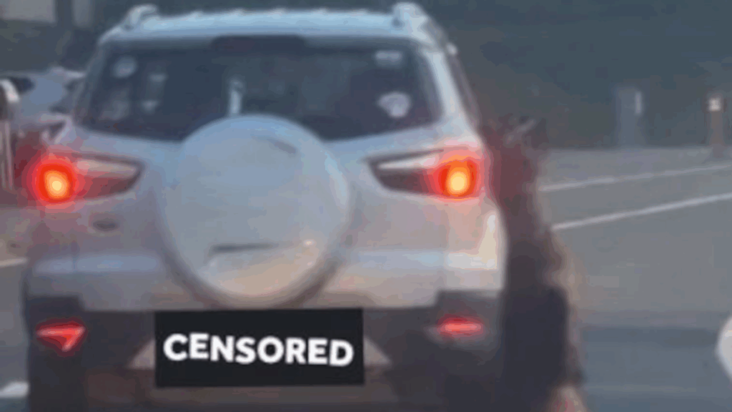 Βέλγιο: Άνδρας έσυρε τον σκύλο του μέχρι θανάτου με το αυτοκίνητο και του κάψανε το σπίτι