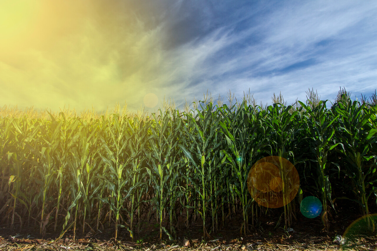 ΔΕΠΑ Εμπορίας: Ένας σύγχρονος καθετοποιημένος ενεργειακός όμιλος