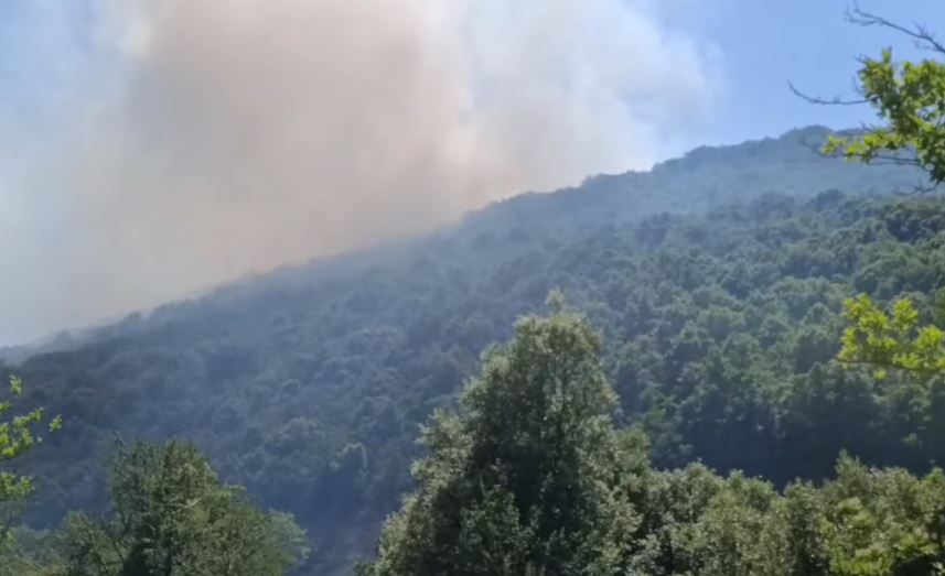 Φωτιά στην Αιτωλοακαρνανία – Επιχειρούν και εναέρια μέσα – ΒΙΝΤΕΟ