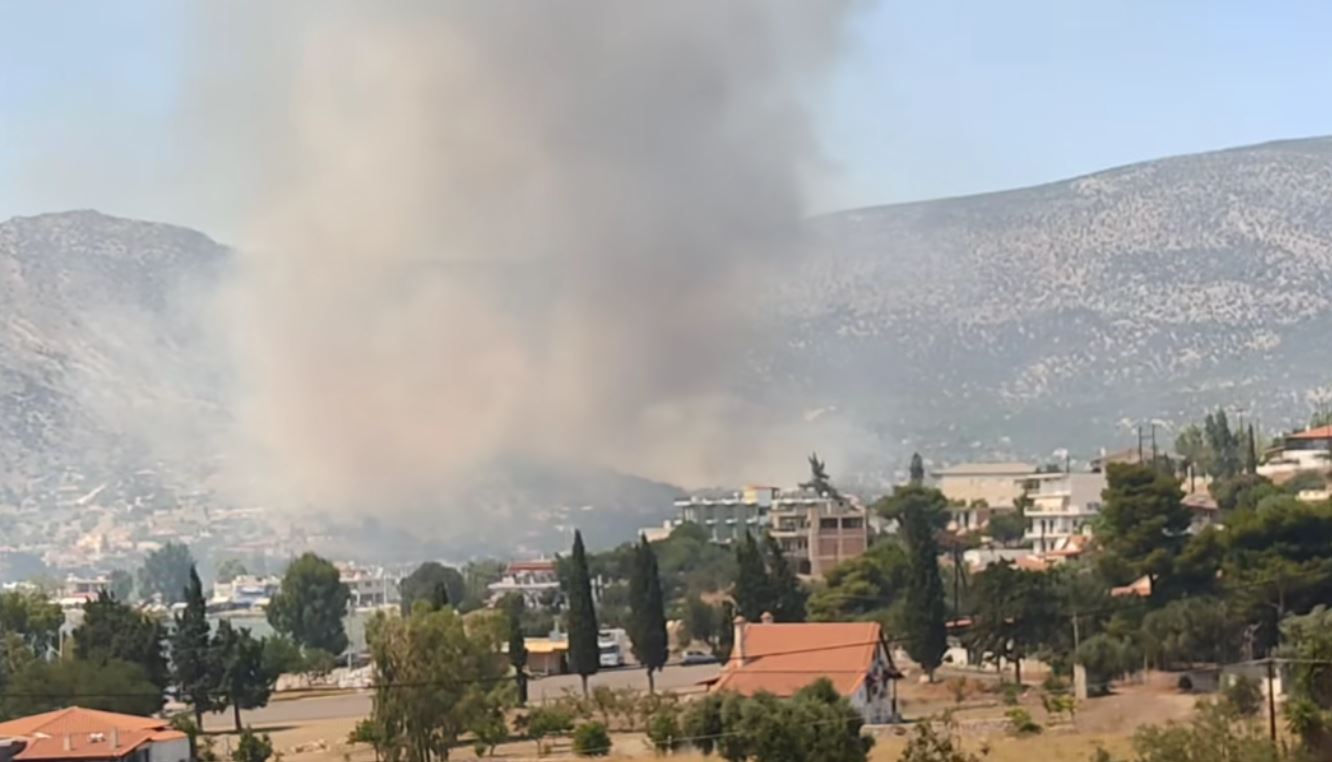 Φωτιά στη Βοιωτία: «Προλάβαμε τα χειρότερα» δηλώνει ο δήμαρχος