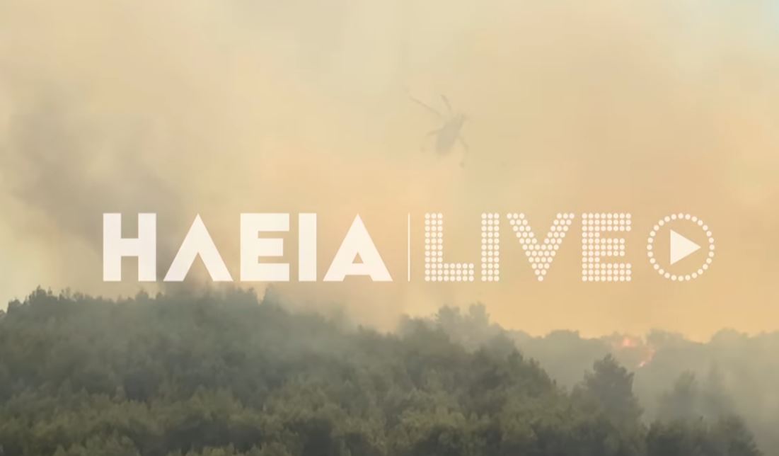 Αμαλιάδα: Ανεξέλεγκτη η φωτιά, καίει δασική έκταση – Ενισχύονται οι δυνάμεις πυρόσβεσης, μήνυμα του 112 για ετοιμότητα – ΦΩΤΟ και ΒΙΝΤΕΟ