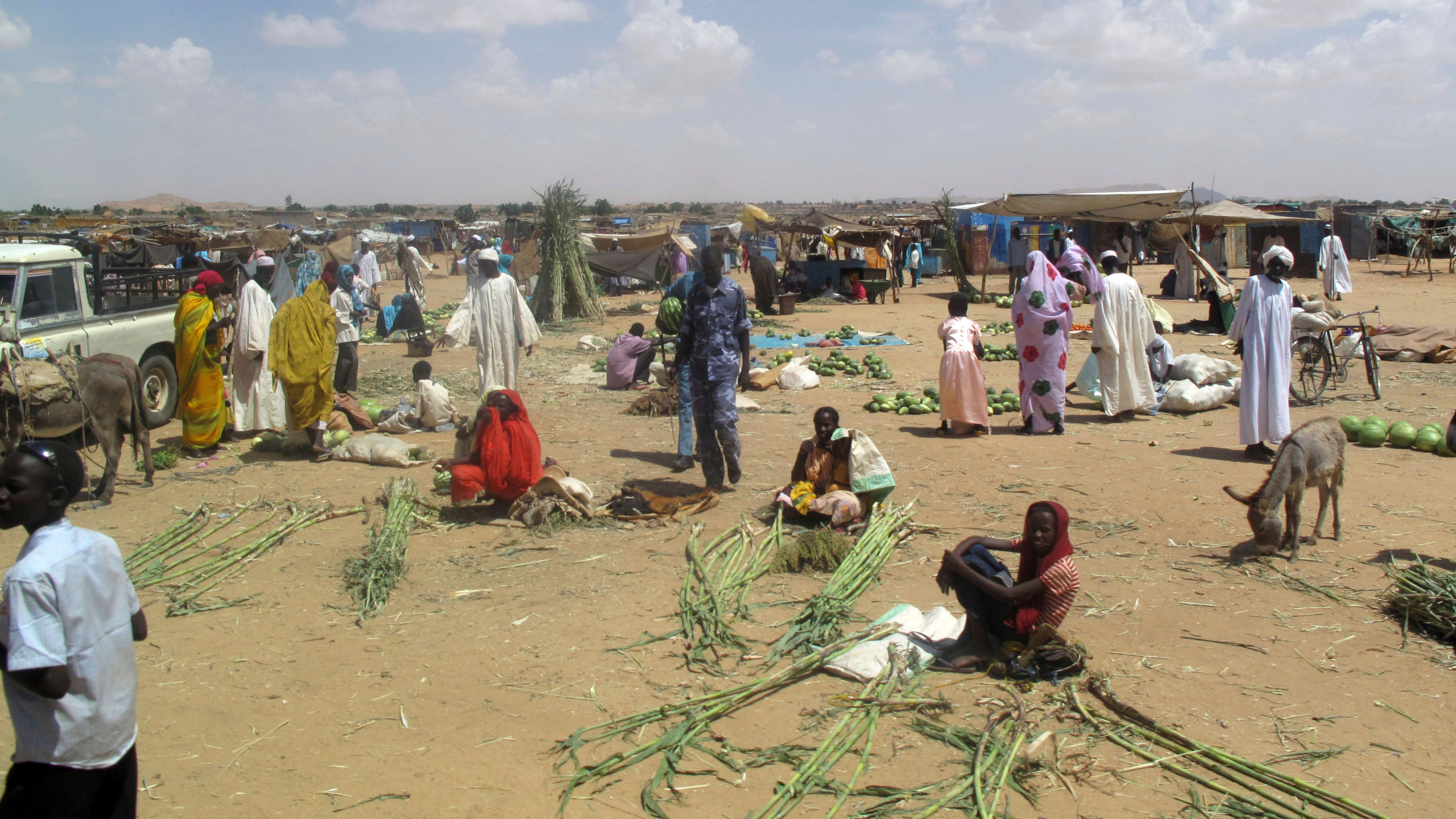Σουδάν: Διαπράττονται «εγκλήματα κατά της ανθρωπότητας» στο Νταρφούρ, σύμφωνα με την αναπληρώτρια εισαγγελέα του ΔΠΔ