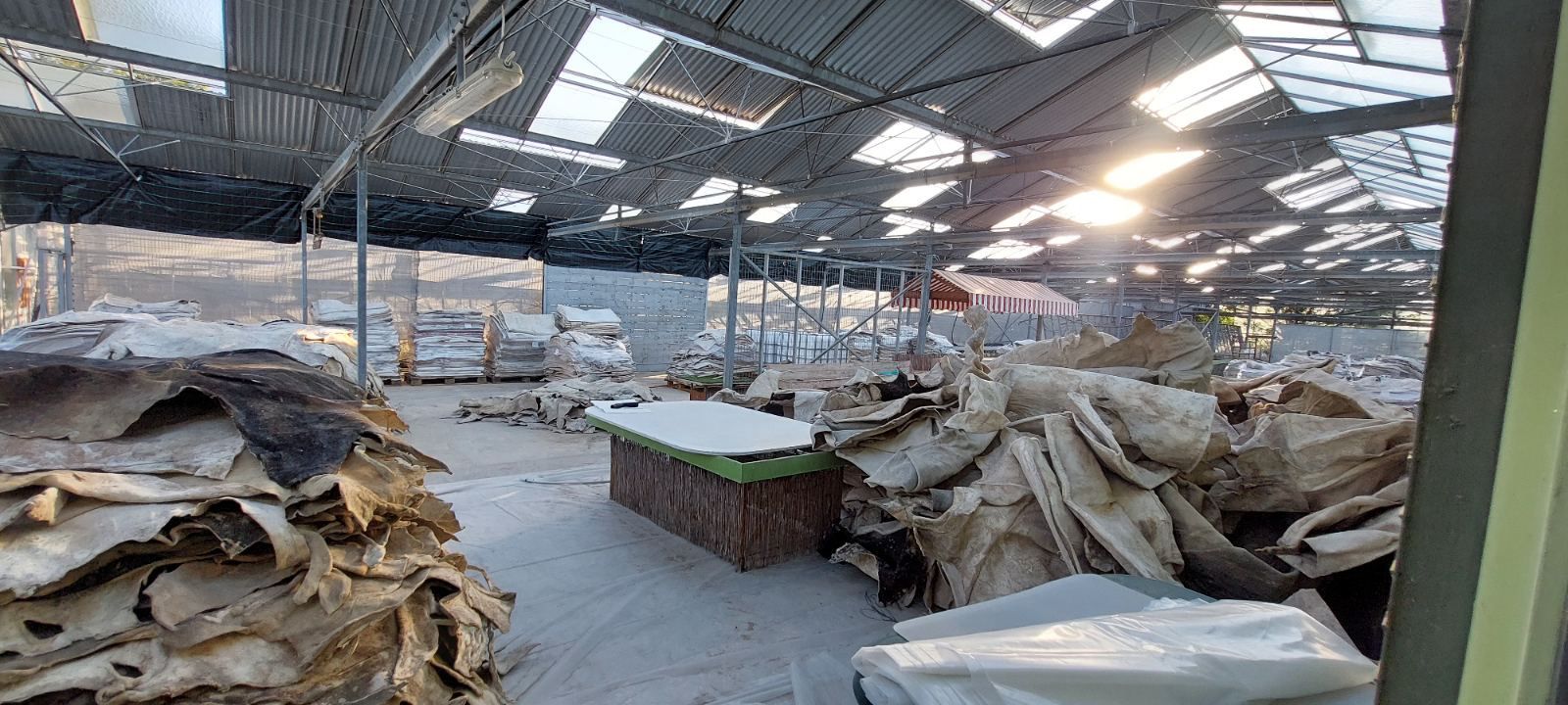 Κοκαΐνη σε εμποτισμένα δέρματα