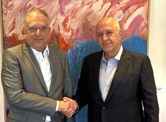 Συνάντηση Θεοδωρικάκου - Θεοδωρόπουλου