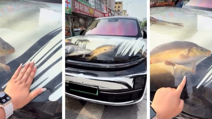 Κίνα αυτοκίνητα καπό ενυδρείο