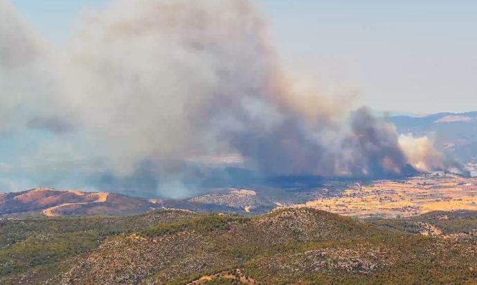 Εύβοια φωτιά Πισσώνας Ψαχνών