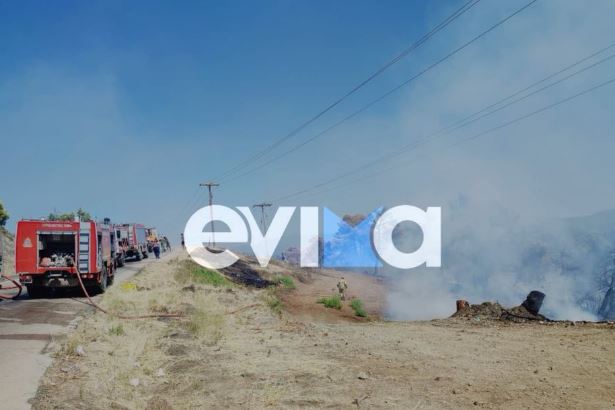 Φωτιά στην Εύβοια: Μάχη των δυνάμεων πυρόσβεσης με αναζωπύρωση στον Πισσώνα – ΒΙΝΤΕΟ