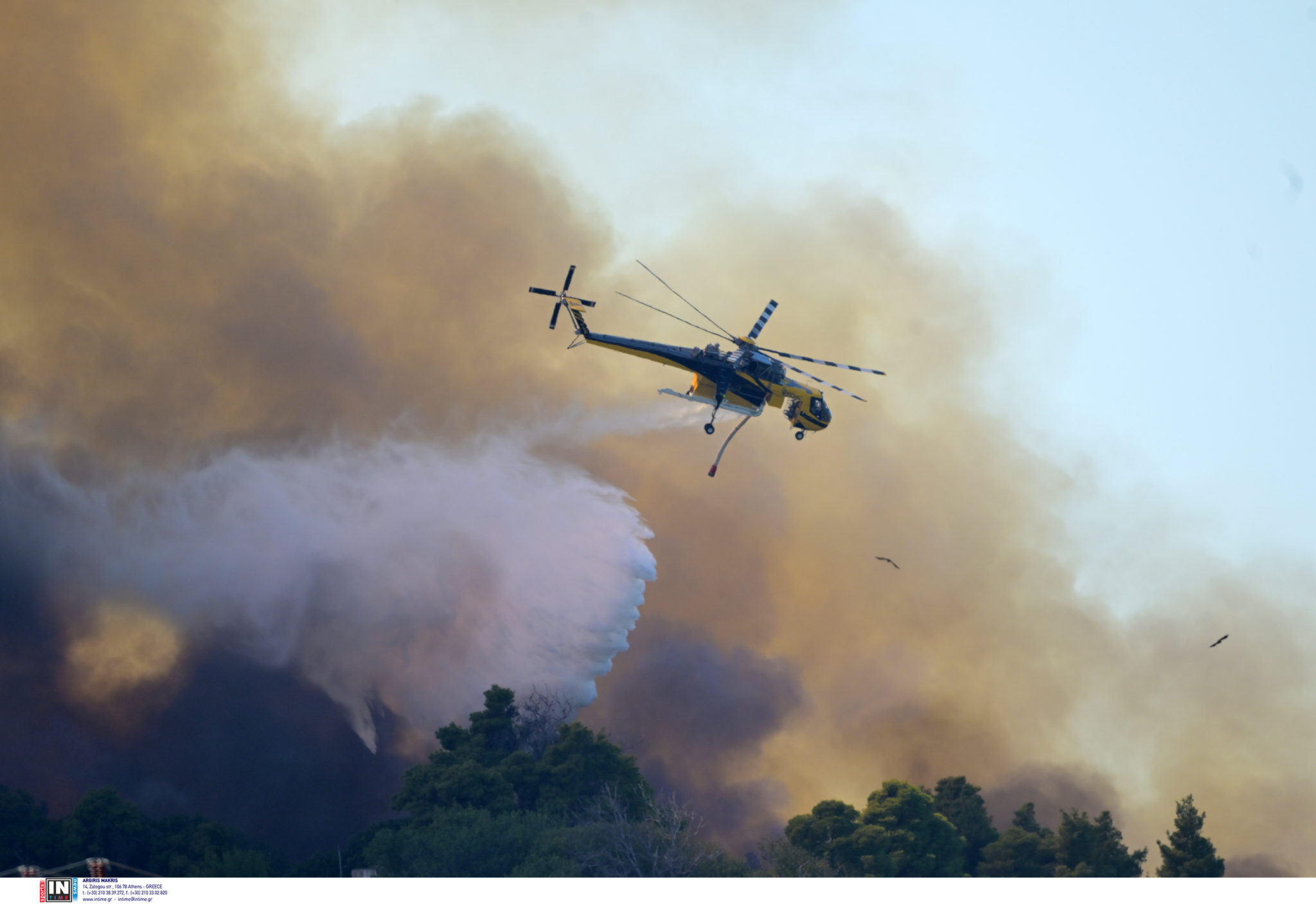 Φωτιά Εύβοια