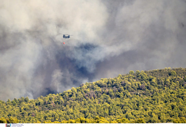 Εύβοια φωτιά