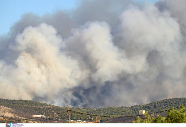 Εύβοια φωτιά