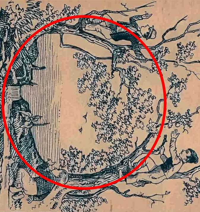 οπτική ψευδαίσθηση