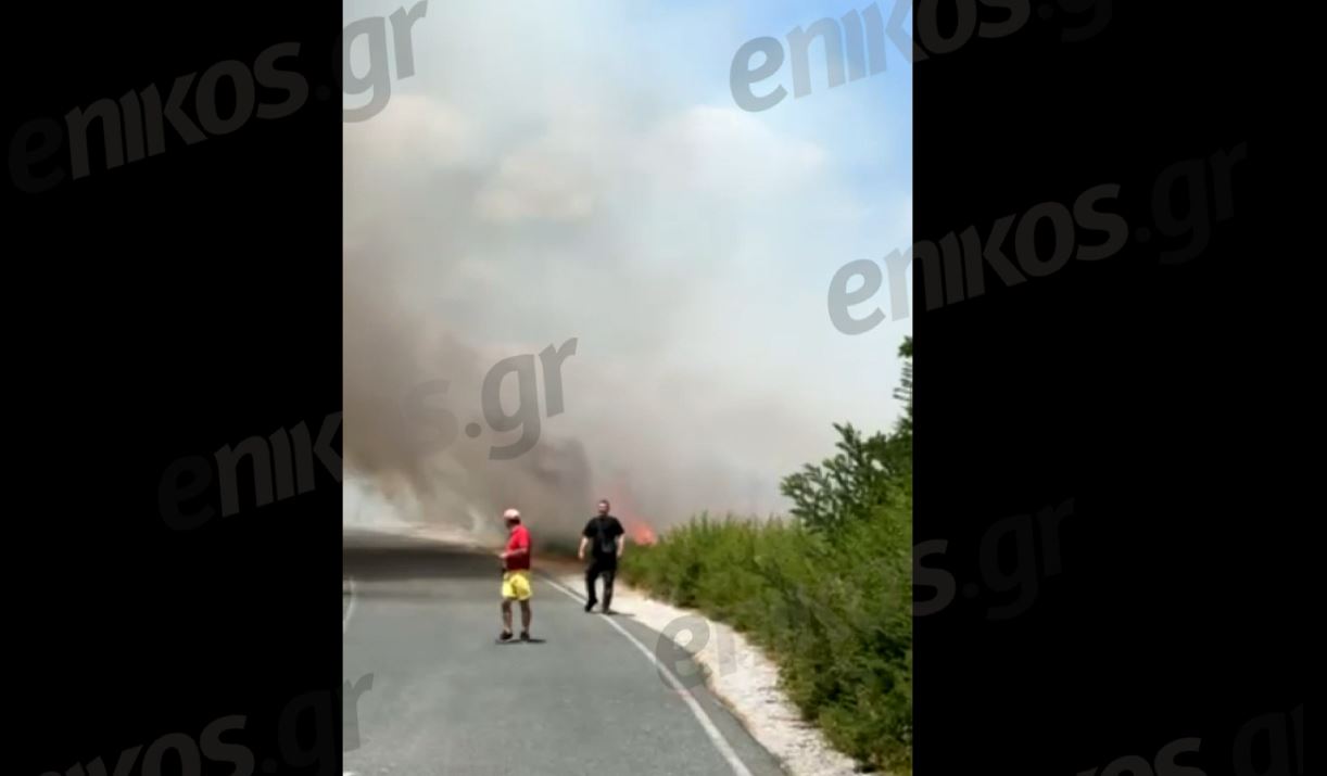 Κοζάνη: Νέο βίντεο αναγνώστη από την φωτιά – «Οι φλόγες είναι δίπλα στα σπίτια»