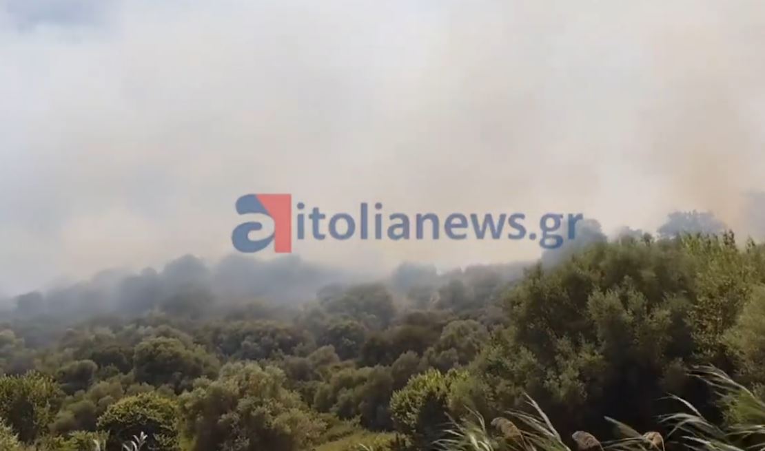 Αιτωλοακαρνανία: Στον αρχαιολογικό χώρο Οινιαδών μαίνεται η φωτιά – Οι πρώτες εικόνες