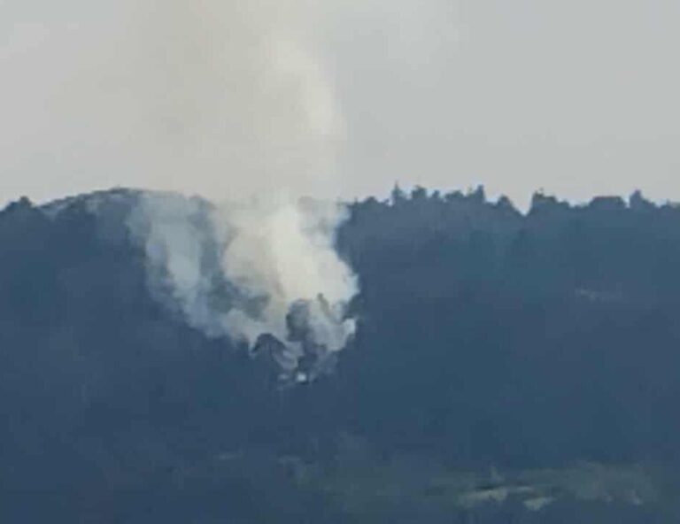 Γρεβενά: Φωτιά σε δασική έκταση στο Μεσολούρι