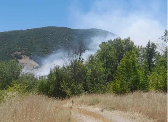Φωτιά στην Κοζάνη