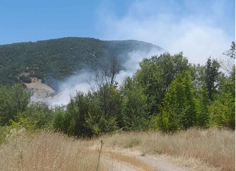 Φωτιά στην Κοζάνη