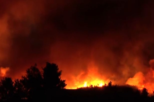 φωτιά, Ωρωπός, Αττική