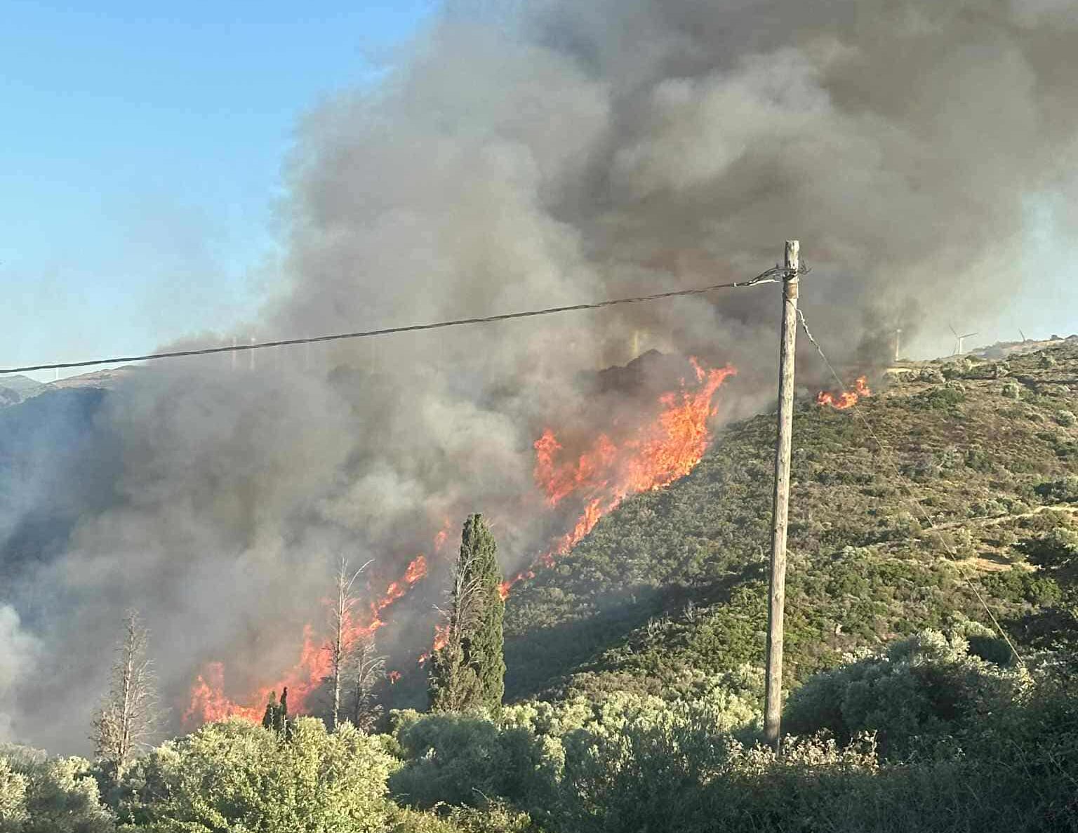 Φωτιά. Ευβοια