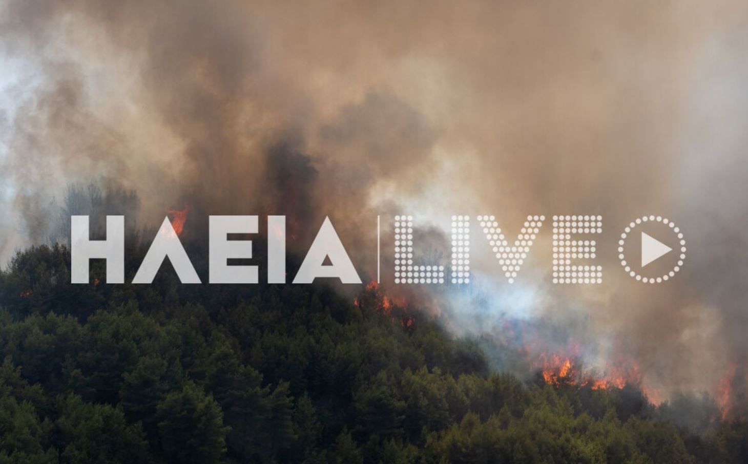 ΦΩΤΙΑ ΓΕΡΑΚΙ ΑΜΑΛΙΑΔΑΣ