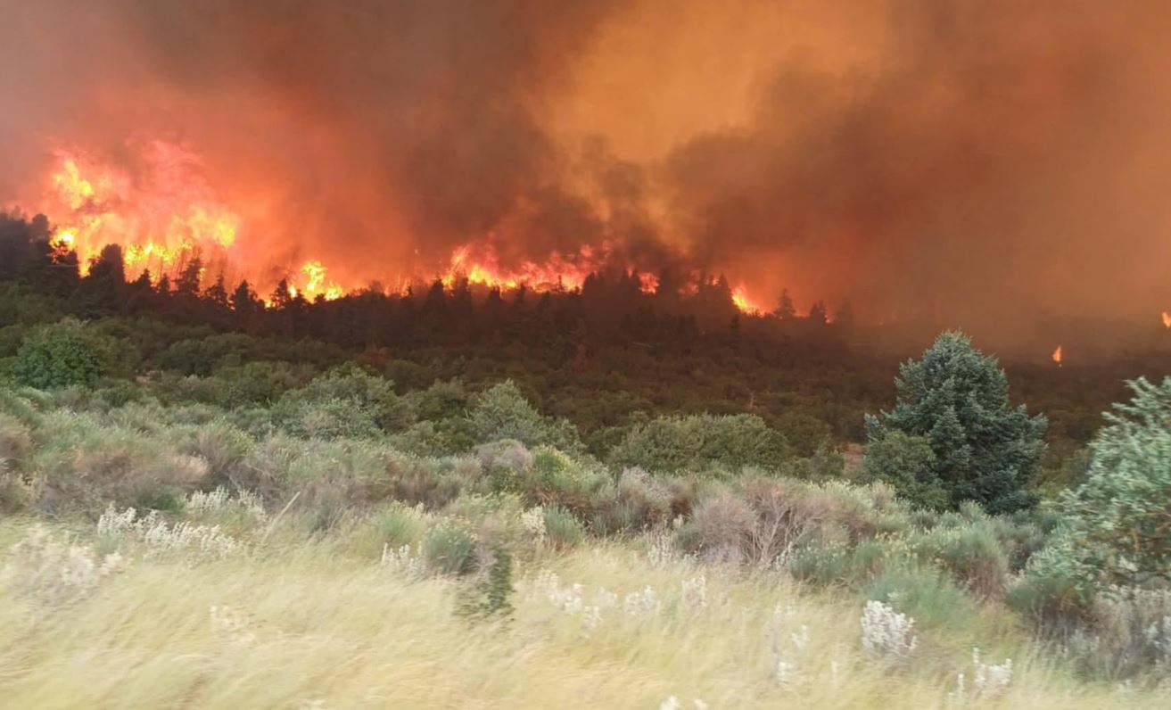 Κορινθία: Ανεξέλεγκτη η φωτιά μετά την μεγάλη αναζωπύρωση, εκκενώθηκαν 3 οικισμοί – «Είναι πολύ δύσκολα τα πράγματα» λέει στο enikos.gr ο αντιδήμαρχος Σικυωνίων 