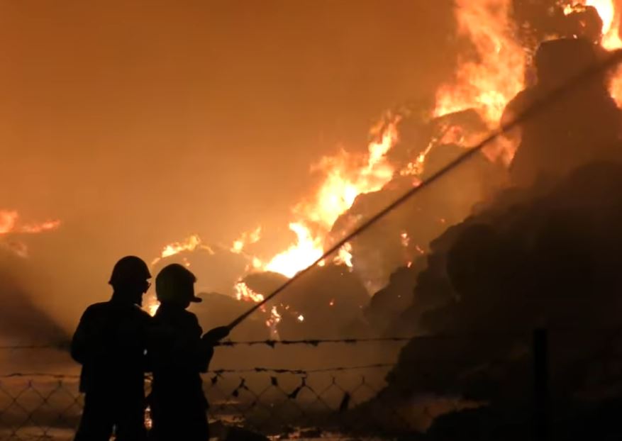 Κιλκίς: Στο εσωτερικό της κτηνοτροφικής μονάδας οι προσπάθειες κατάσβεσης της φωτιάς – Κάηκαν ζώα – ΒΙΝΤΕΟ