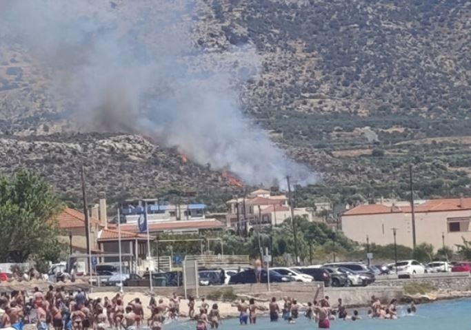 Λακωνία: Φωτιά σε χαμηλή βλάστηση στην Πλύτρα – Επιχειρούν 7 εναέρια μέσα