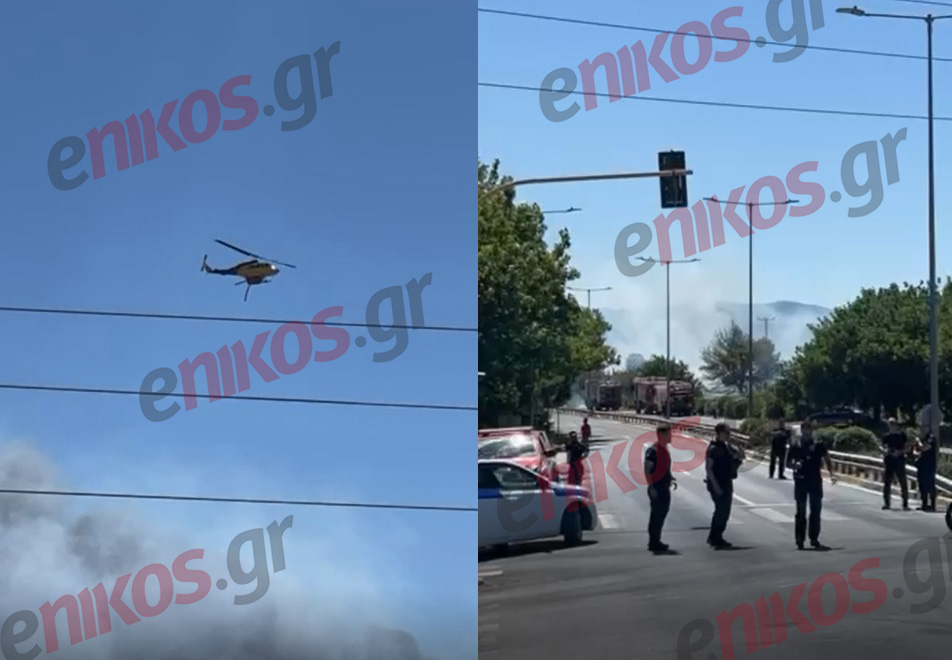 Φωτιά στη Ραφήνα – Εκκενώνονται 3 περιοχές, διακοπή κυκλοφορίας στη Λ. Μαραθώνος – ΦΩΤΟ και BINTEO αναγνώστη