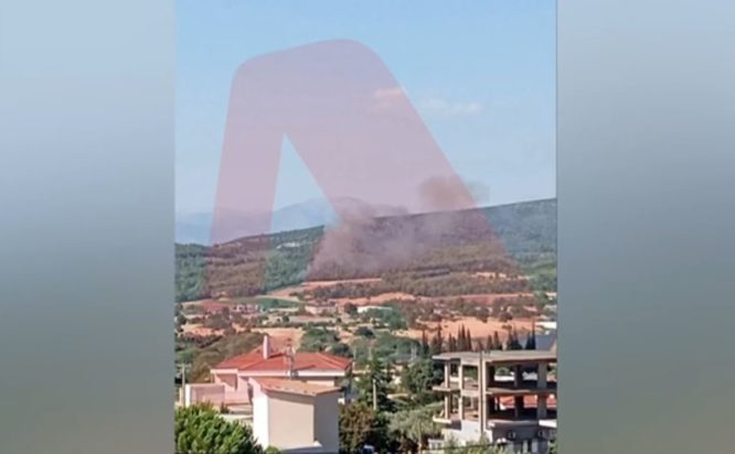 Φωτιά Ωρωπός