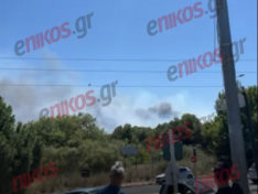 Φωτιά, Ραφήνα, Μαραθώνος