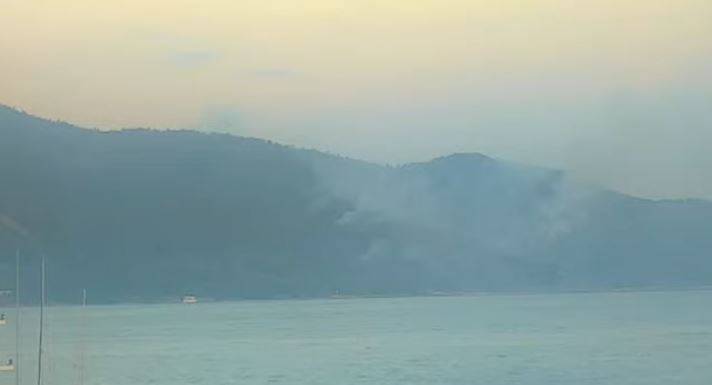 Σε ύφεση η φωτιά στη Θάσο – «Στάχτη» δασική έκταση, μελίσσια και ένα beach bar